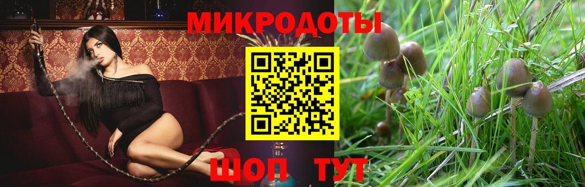 Псилоцибиновые грибы прущие грибы Хасавюрт
